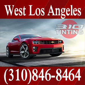 Window tinting installers